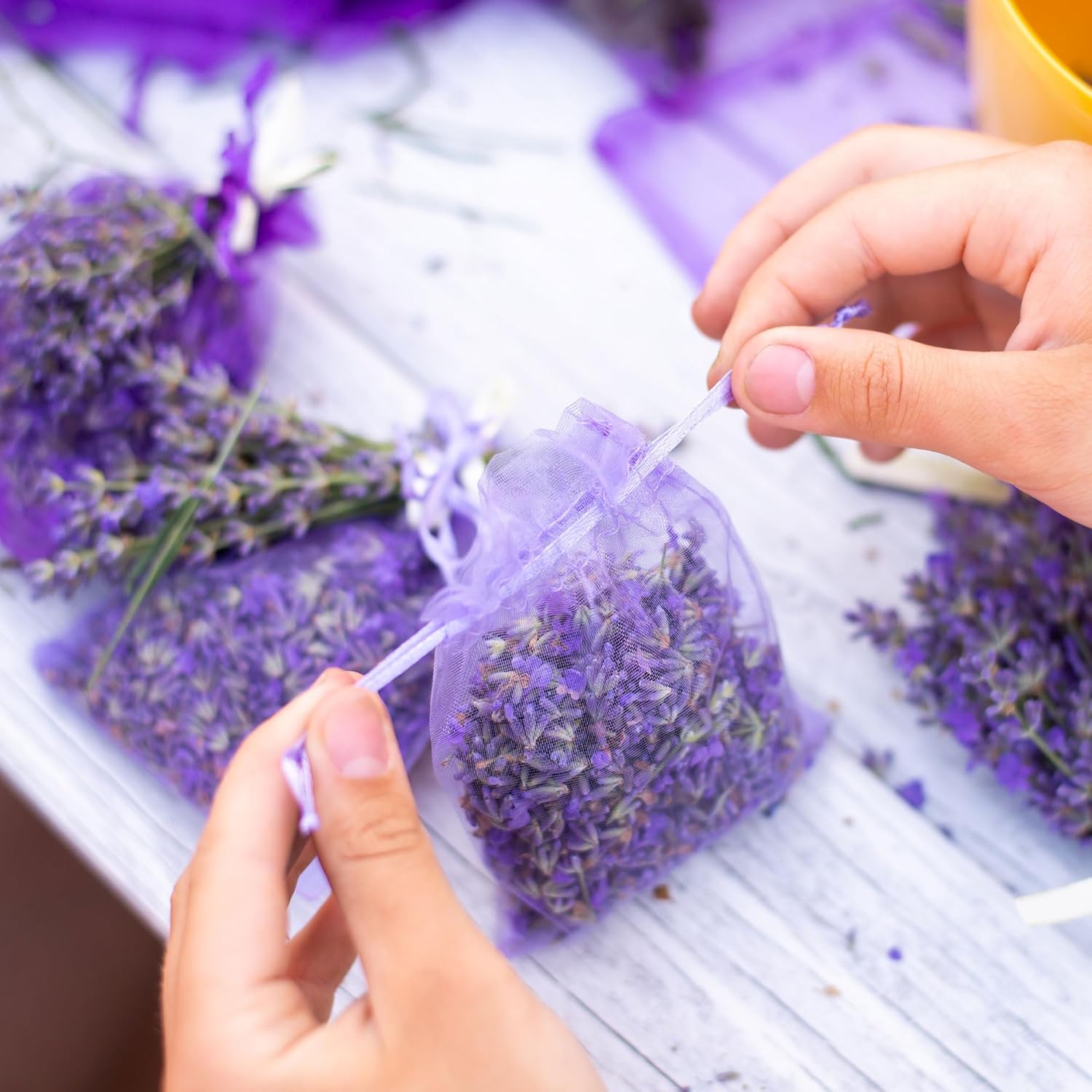 2024 Harvest Lavender Sachets - 12 Organic Dried Provence Lavender